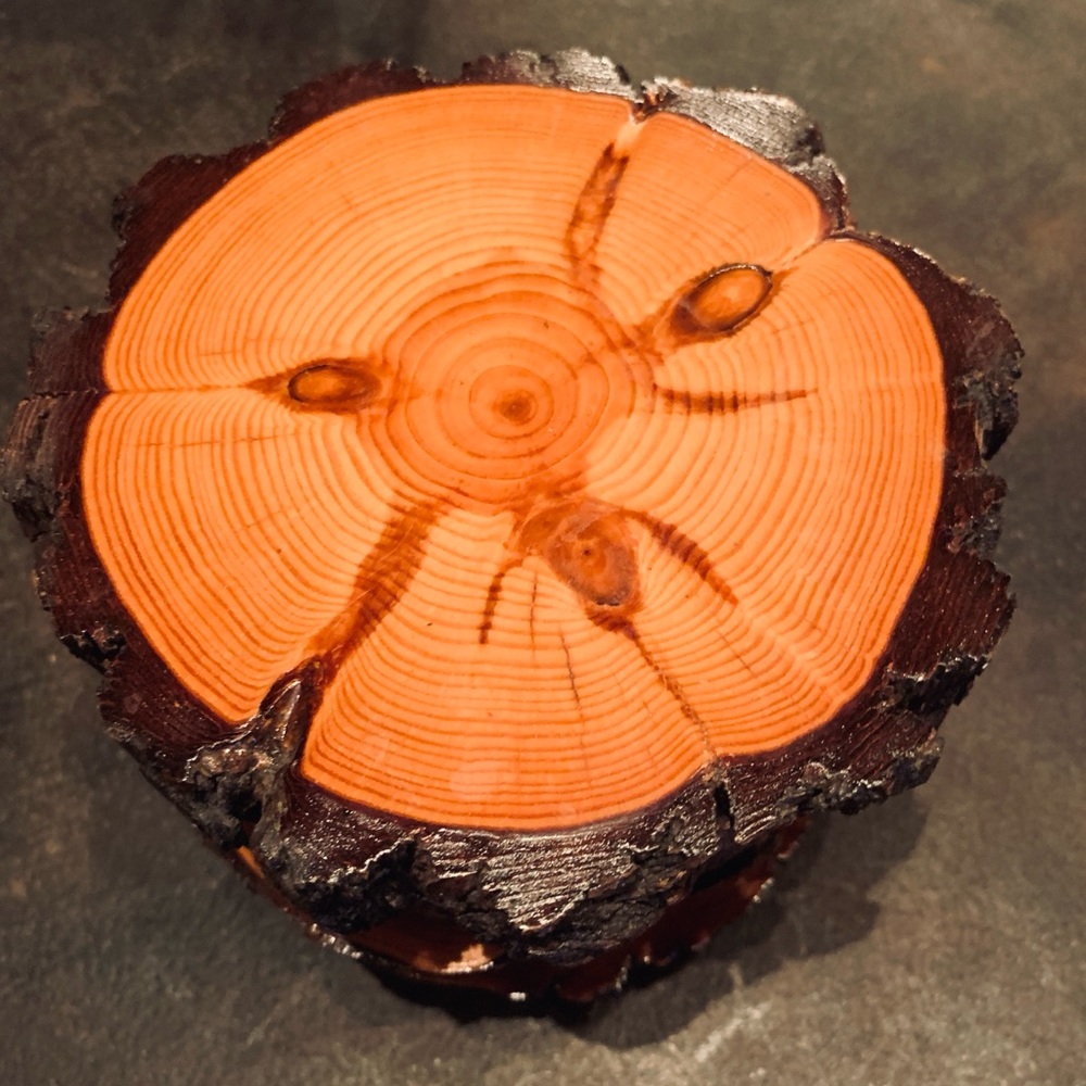 Set of 4 wooden Cypress coasters - Picture 8 of 9